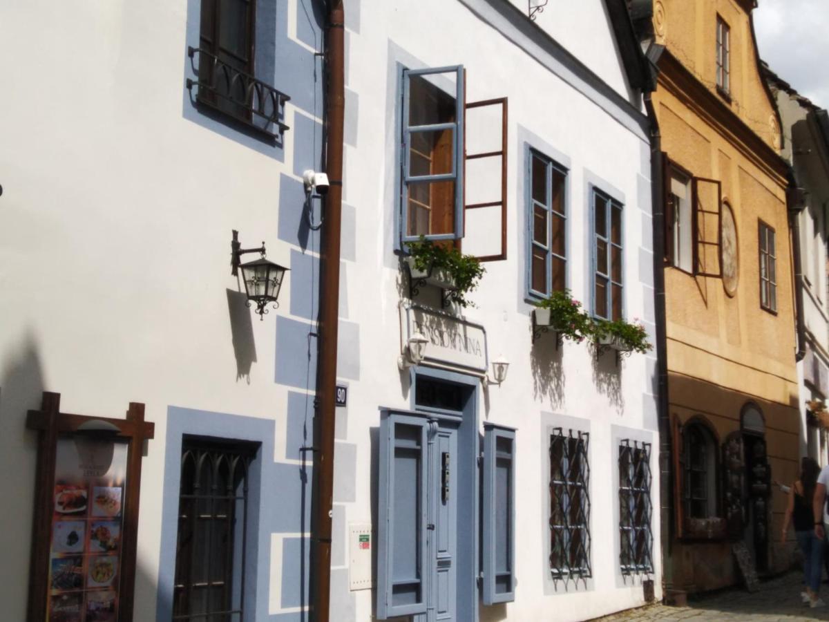 Pension Nina Český Krumlov المظهر الخارجي الصورة